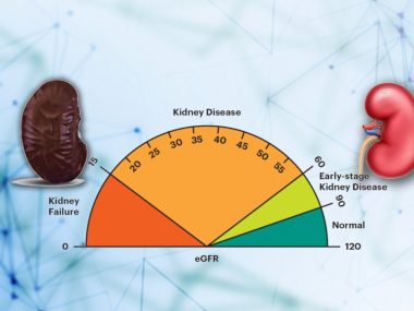 Kidney Function tests