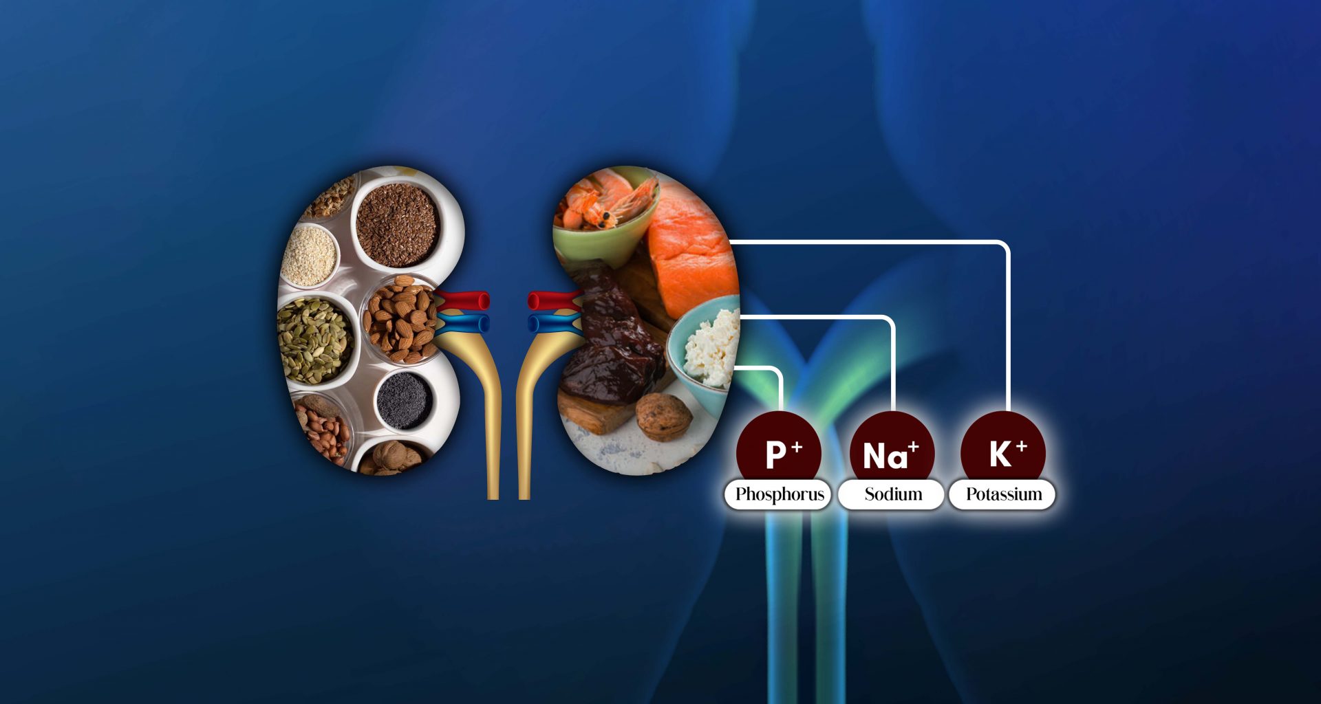 Kidney Diet