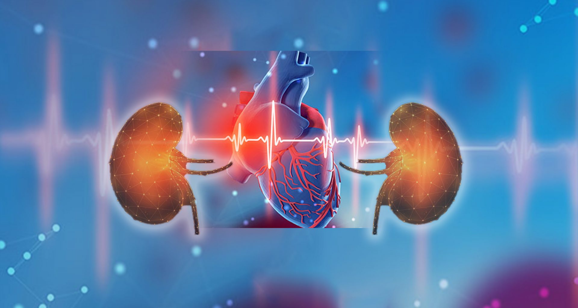 Heart failure and kidney failure